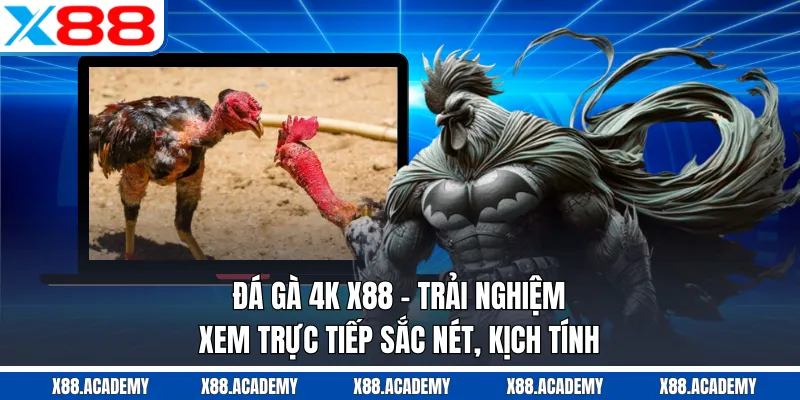 Đá Gà 4K X88 - Trải Nghiệm Xem Trực Tiếp Sắc Nét, Kịch Tính