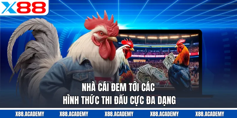 Nhà cái đem tới các hình thức thi đấu cực đa dạng