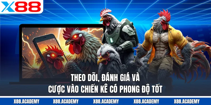 Theo dõi, đánh giá và cược vào chiến kê có phong độ tốt